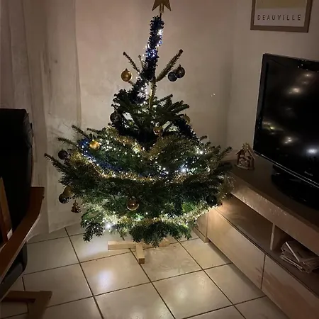 Le Nid Du Bouloir Lisieux