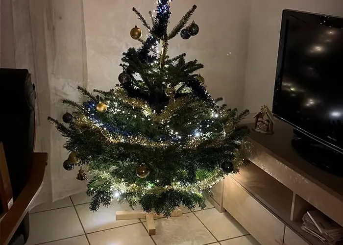 Le Nid Du Bouloir Lisieux